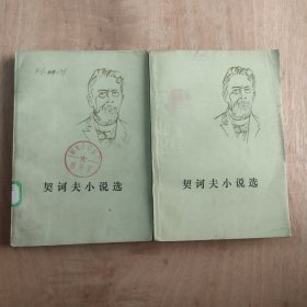 契诃夫小说选上下