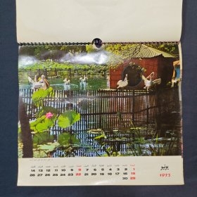 老挂历 1973年挂历 13张完整