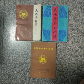 大成拳资料22本（合售）:其中有大成拳研究1993年（1—4期），1994年（1-4期），1995年（1-4期）1996年（1-4期），1992年（二（两本)、三（两本)、四期一本），1997第一期，大成拳精选一本、大成拳精要一本、大成拳养生功法一本、中国大成拳人名录一本