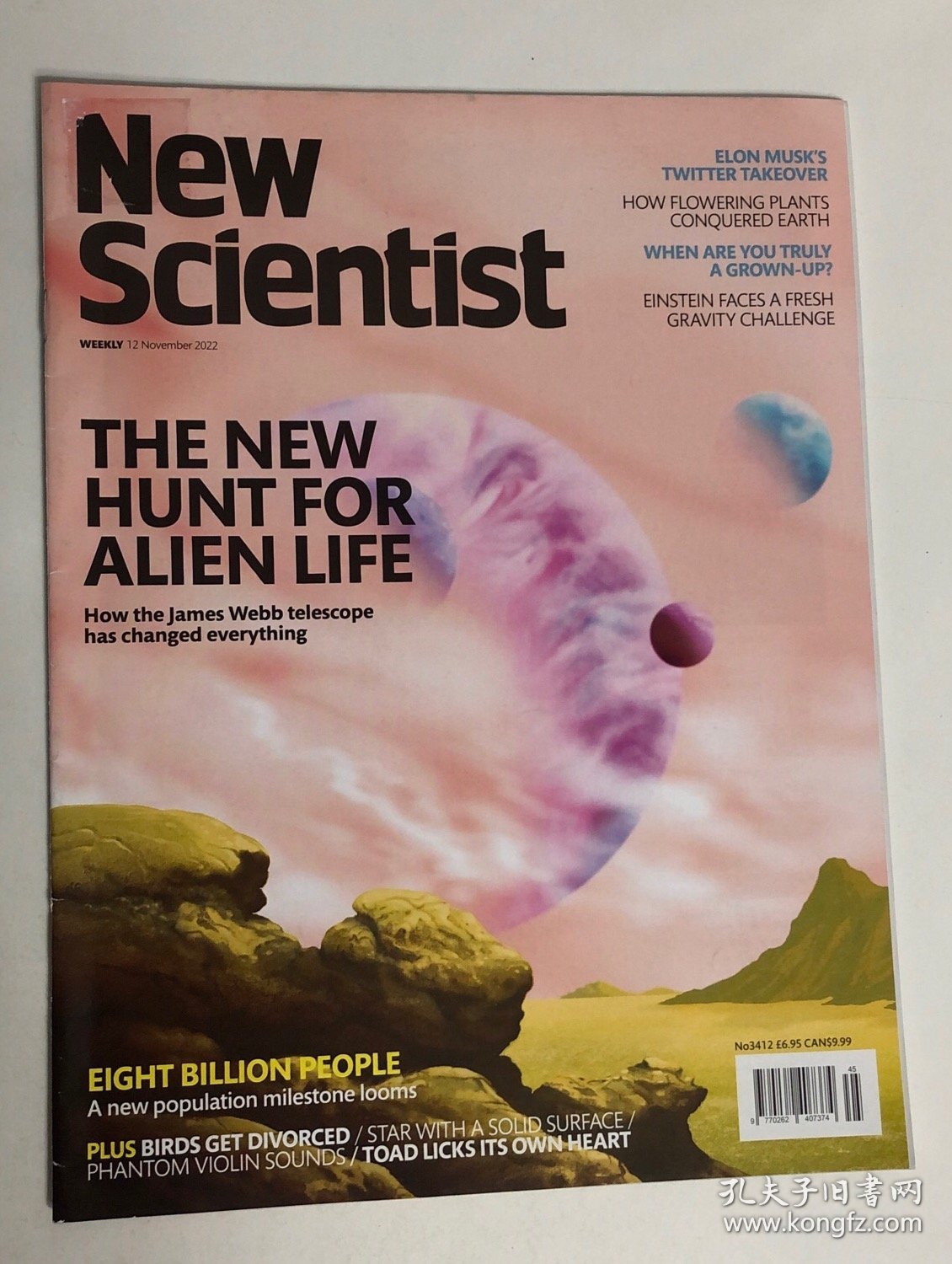 New Scientist 2022/11/12