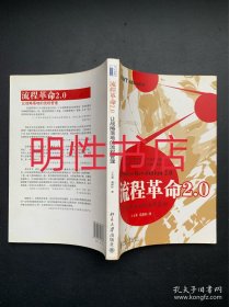 流程革命2.0：让战略落地的流程管理