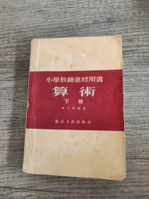 小学教师进修用书算术下册