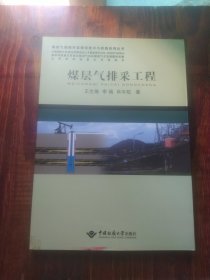 煤层气排采工程/煤层气勘探开发理论技术与实践系列丛书