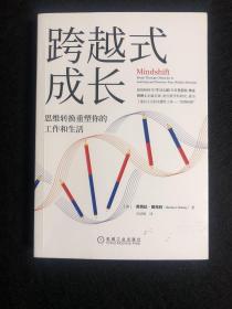 跨越式成长：思维转换重塑你的工作和生活