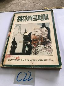 林墉苏华访问巴基斯坦画集