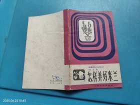 怎样养好米兰
