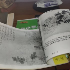 梅兰竹菊画谱之四 菊