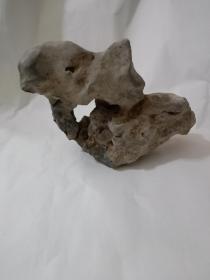 穿洞石一个怪异嶙峋8X3.8X7.6Cm