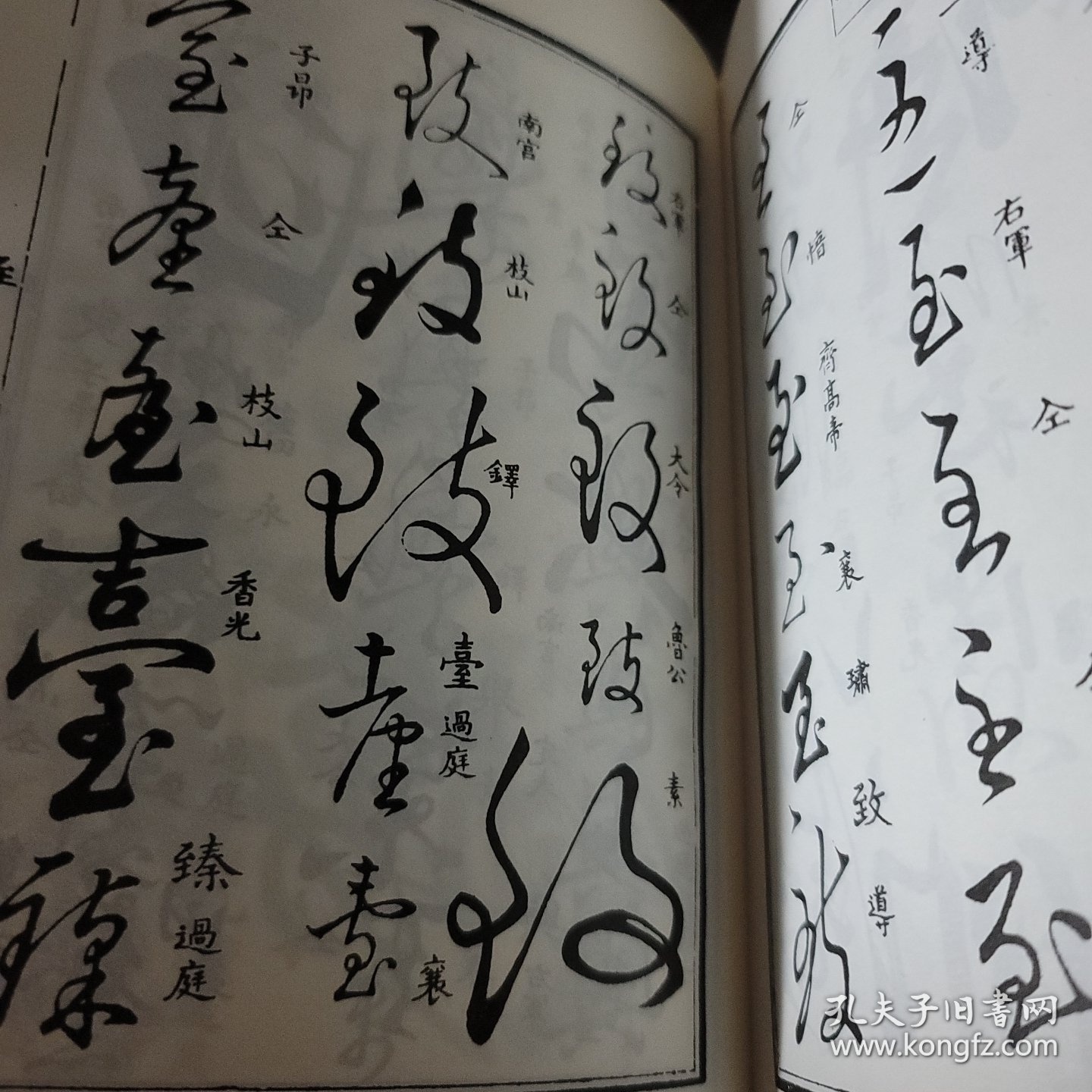 草字汇