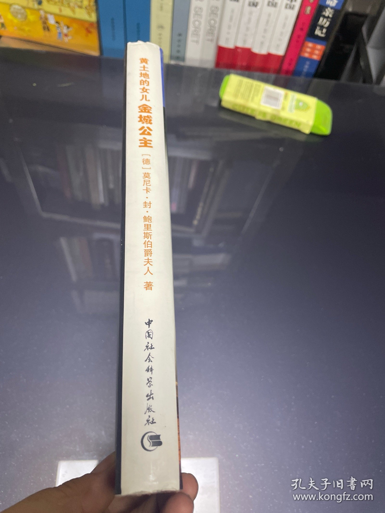 黄土地的女儿：金城公主