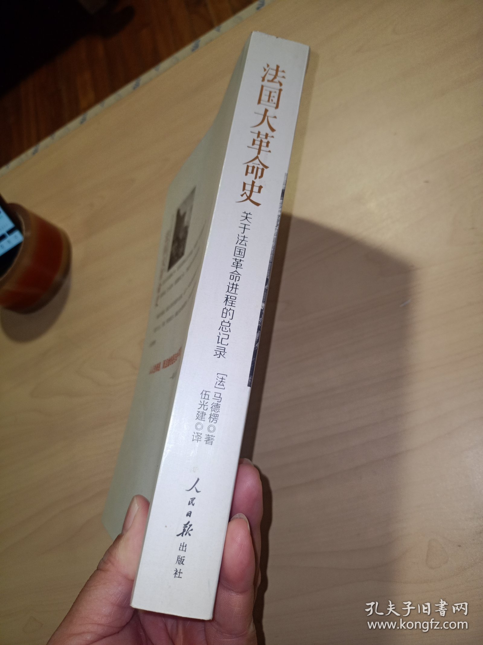 法国大革命史：关于法国革命进程的总记录