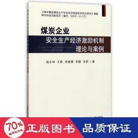 煤炭企业安全生产经济激励机制理论与案例