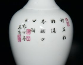 清雍正郎世宁珐琅彩玉米昆虫果蔬纹瓶一对【 19.8x9cm 】