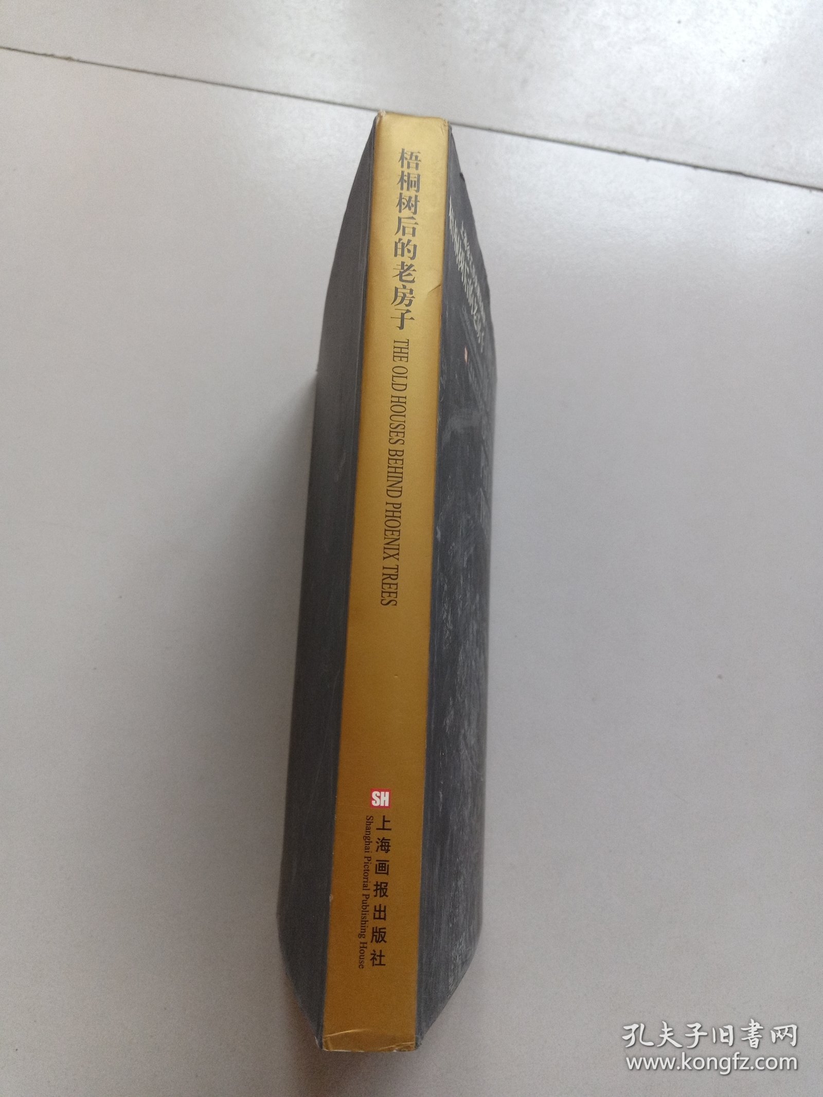 梧桐树后的老房子