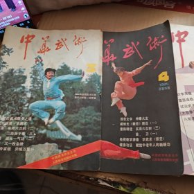 中华武术(85年第3、4、5、6、7、8、9、10、11、12期。D架2排)
