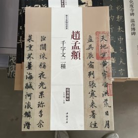 历代名家碑帖经典：赵孟頫 千字文二种