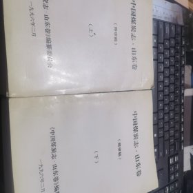 中国煤炭志 山东卷（终审稿）上 下