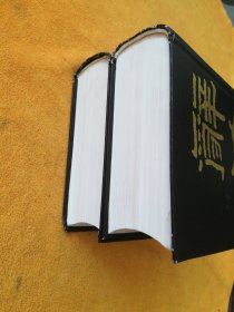 醉海•据1936年版缩印（全二册）/馆藏 （库西屋东书架中间）