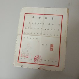 毕业证书1956年 框1