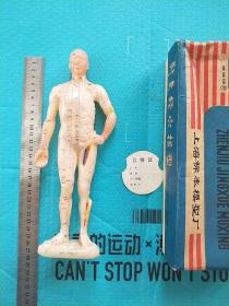 针灸经穴模型（眼睛牌）26公分人体模型 1989年合格证 中医 针灸 学习 标本 人体 模型