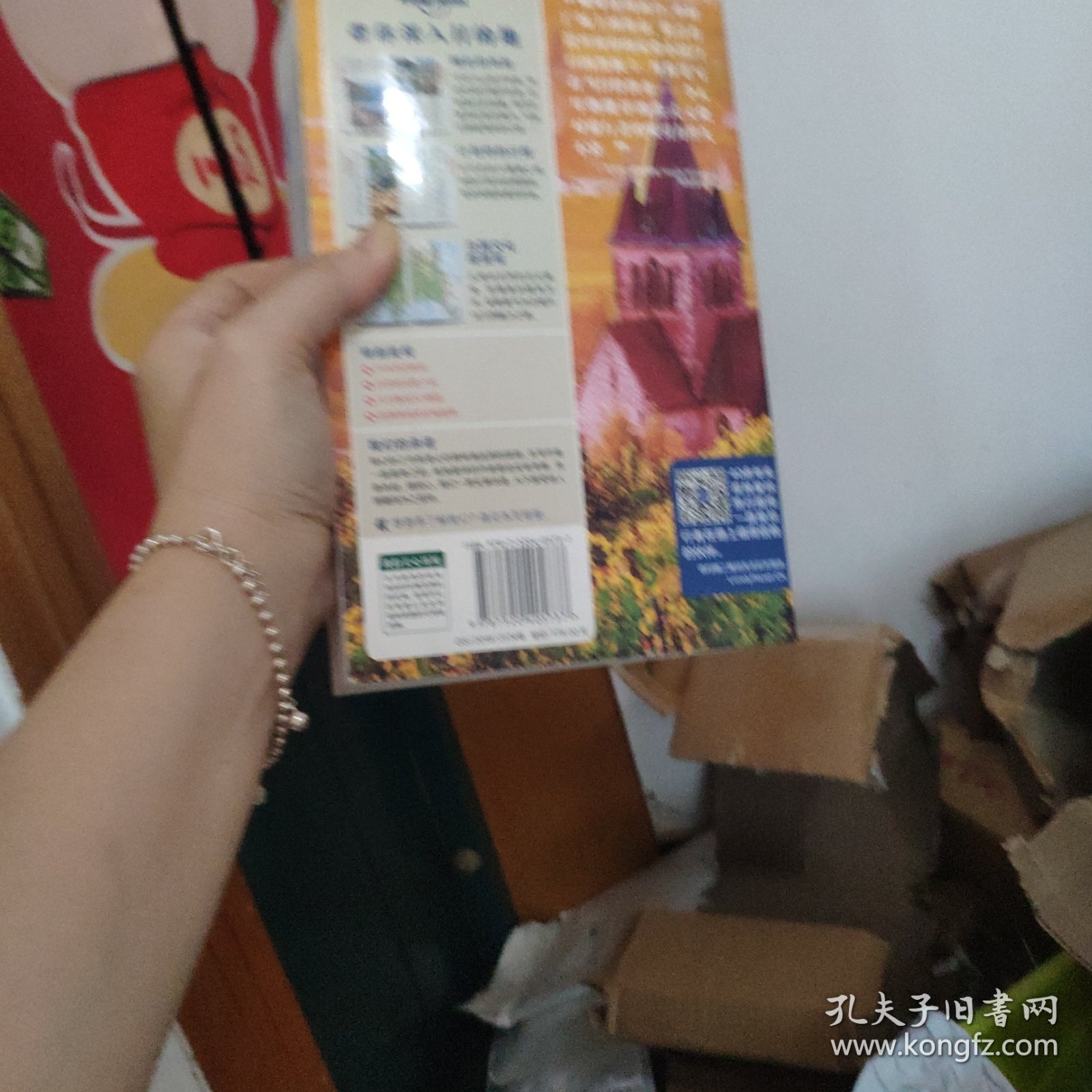 孤独星球Lonely Planet旅行指南系列-法国(第三版）