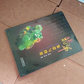 翡翠鉴赏与投资