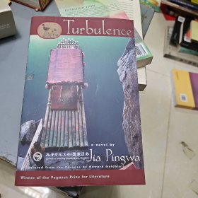 Turbulence：A Novel