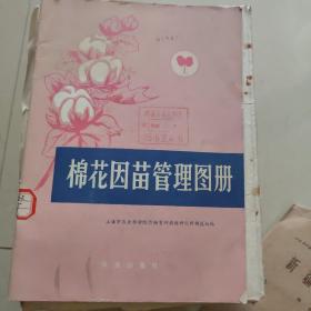 棉花因苗管理图册