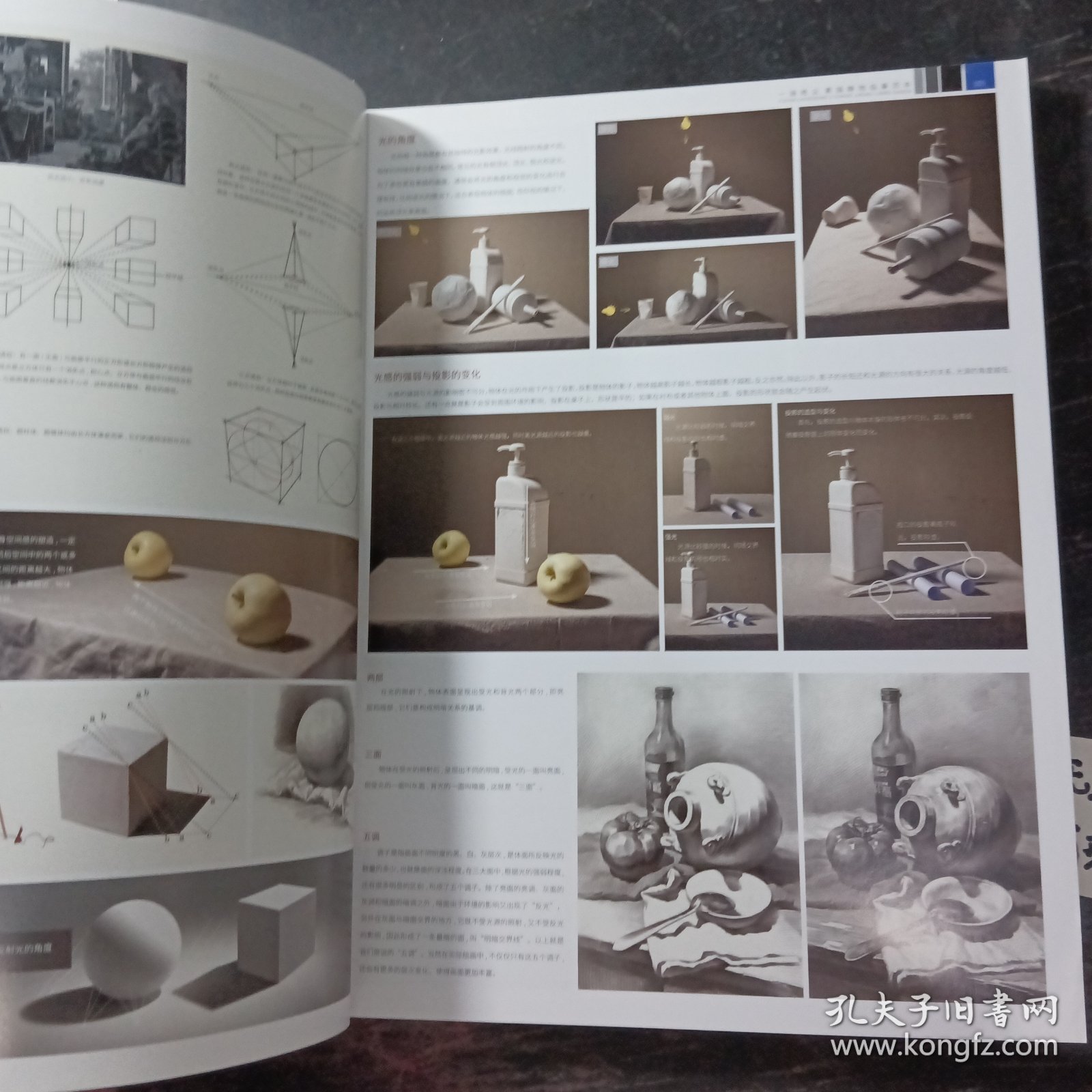 正版 一骑绝尘素描静物临摹范本2022烈公文化唐智源单体与组合照片对画