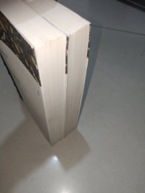 大卫·科波菲尔