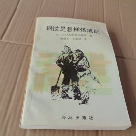 钢铁是怎样炼成的