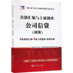 银行业专业人员2020（初级）职业资格考试用书 公司信贷 真题汇编与上机题库