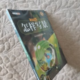 新版斗半匠作文怎样写景 小学绘本怎样写好作文写人写事写物状物想象专项训练小学作文技巧提升大全