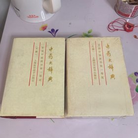 中药大辞典（上下册）