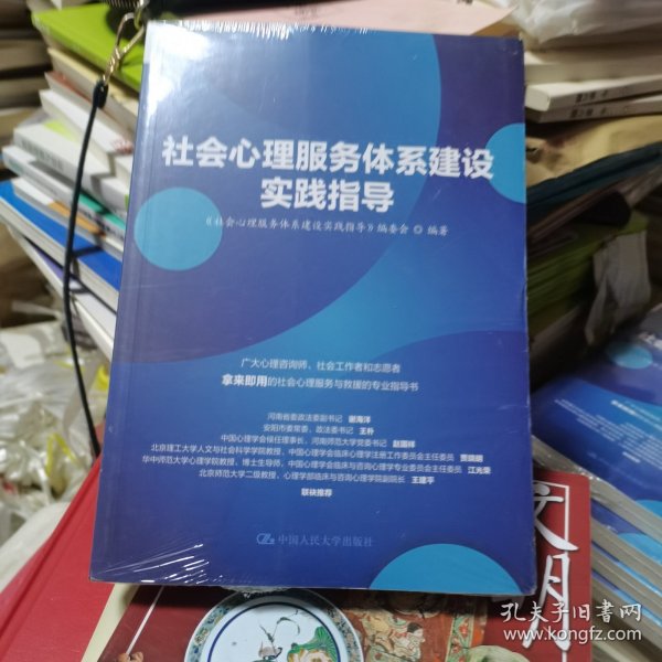 社会心理服务体系建设实践指导