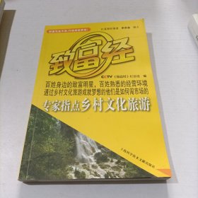 专家指点乡村文化旅游