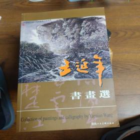王延年书画选