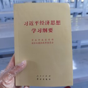 习近平经济思想学习纲要（32开）