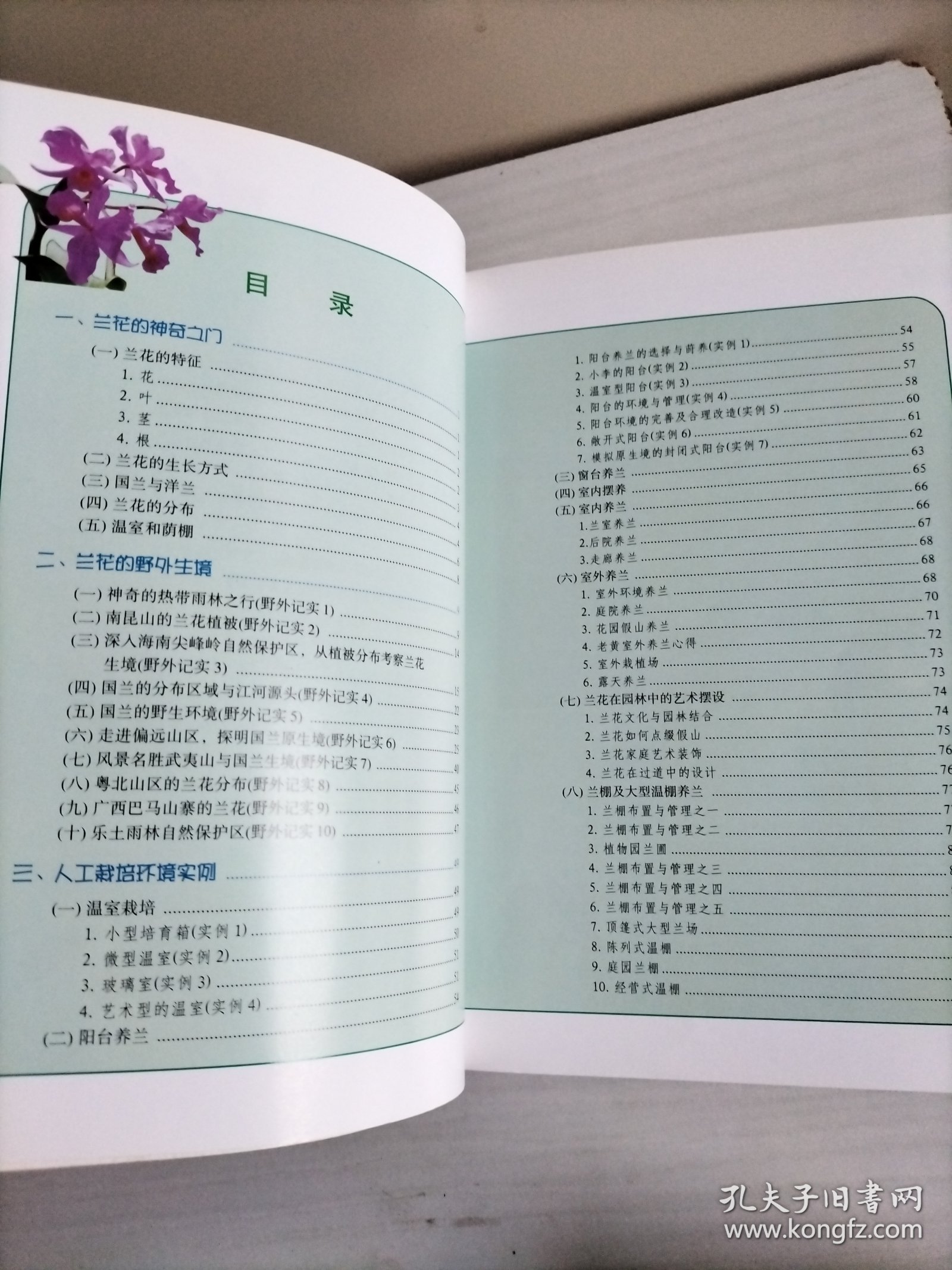 兰花：野外生境 栽培实例 鉴赏