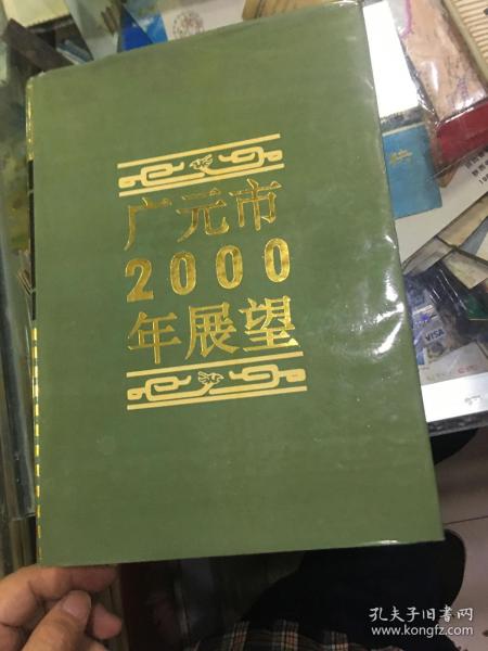 广元市2000年展望