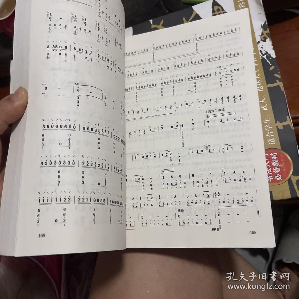 民族乐器大教室丛书：琵琶初级教程