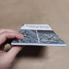 浙江效益农业百科全书 结球甘蓝抱子甘蓝