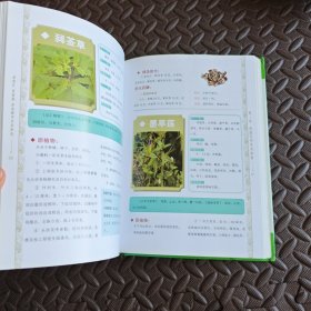 高血压 高血脂 高血糖中草药妙用