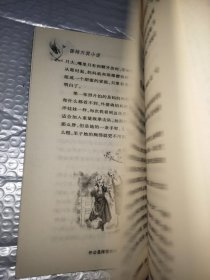 外公是棵樱桃树：国际大奖小说