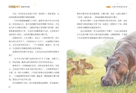 【当天发货】狂野国度三部曲：雄狮的荣耀（儿童小说）