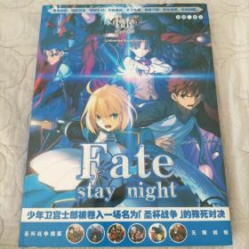 fate/ stay night