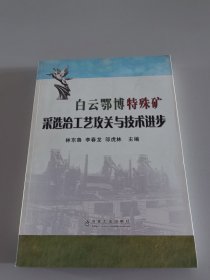 白云鄂博特殊礦采選冶工藝攻關(guān)與技術(shù)進(jìn)步