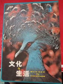 文化与生活 1980/4