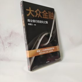 大众金融：颠覆二八定律的新金融行动，构建大型银行发展的第二曲线