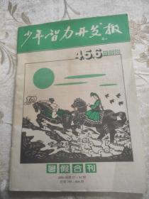 少年智力开发报 暑假合刊 4.5.6年级版 2000年第27-34期